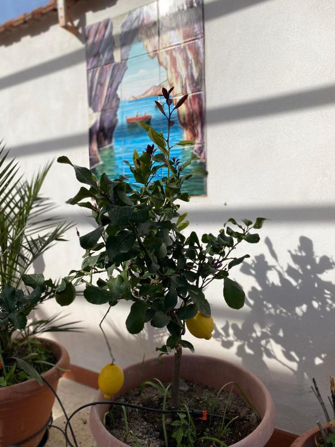 Medusa Exclusive Rooftop Taormina Apartment Exterior photo